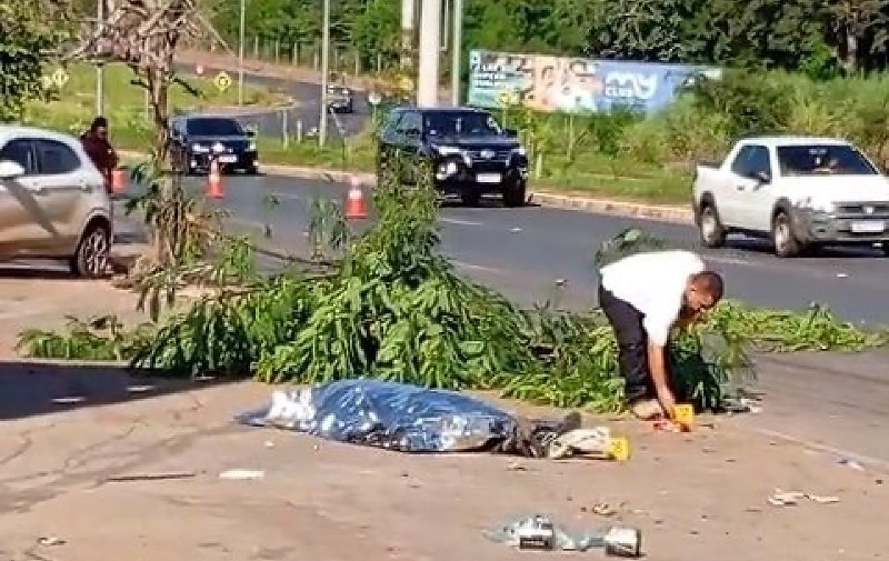Vídeo: Motociclista perde a vida após colisão brutal contra árvore em MT