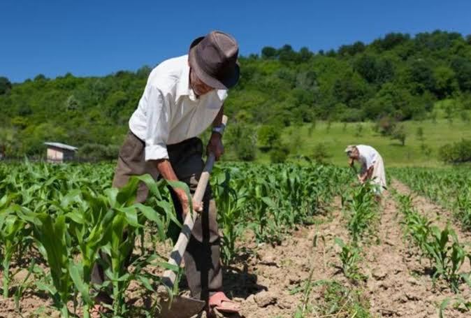 Dia do trabalhador celebra conquistas e reforça a luta por direitos