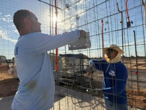 Obras do projeto habitacional Vera Meu Lar avançam e entram na fase de levantamento das paredes das residências