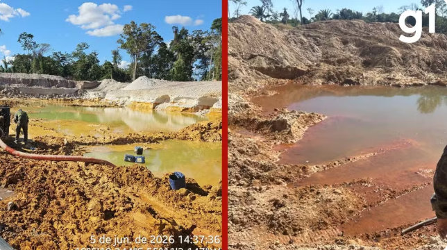 Garimpo ilegal é fechado e homem é detido durante operação ambiental em MT; veja vídeo