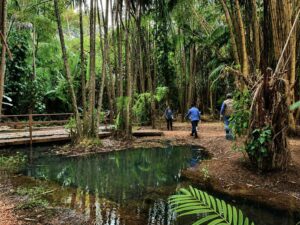 Servidora verense participa de capacitação regional e fortalece ações de Vigilância em Saúde Ambiental
