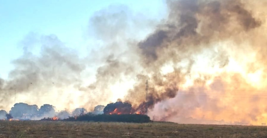Queimada destrói cerca de 160 hectares de vegetação em Sinop