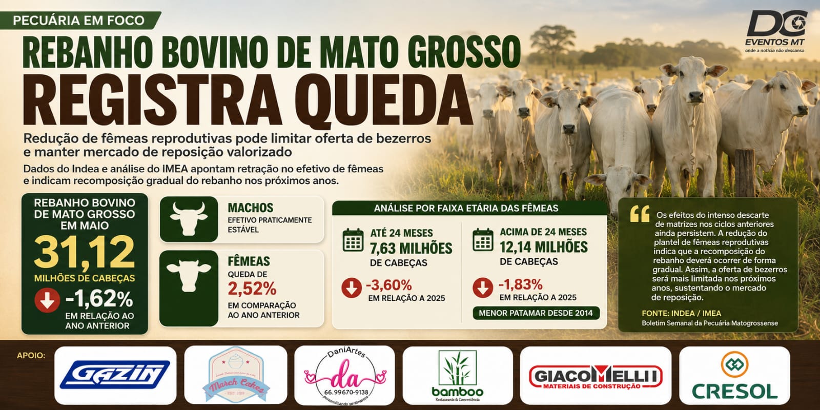 Rebanho bovino de Mato Grosso registra queda e acende alerta para reposição de animais nos próximos anos