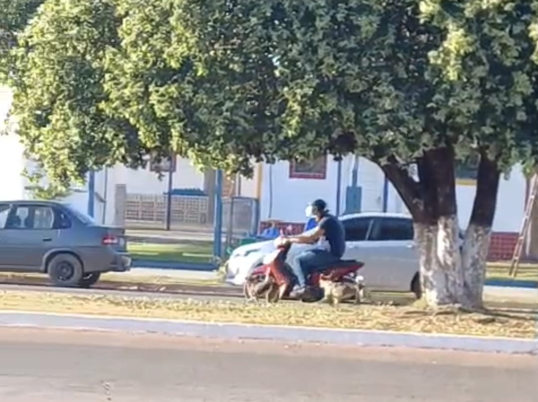 Vídeo: Cães soltos preocupam moradores e avançam contra motociclistas e crianças em região próxima a creches
