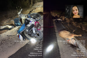 Agente Comunitária de Saúde morre após colisão com anta na MT-140, em Vera-MT; Vídeo