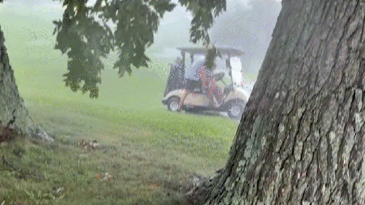 Vídeo: Golfista registra o momento em que é atingido por raio ao se abrigar sob árvore