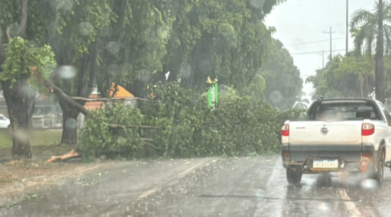 Temporal deixa cerca de 19 mil pontos sem energia e provoca danos em Alta Floresta; Vídeo