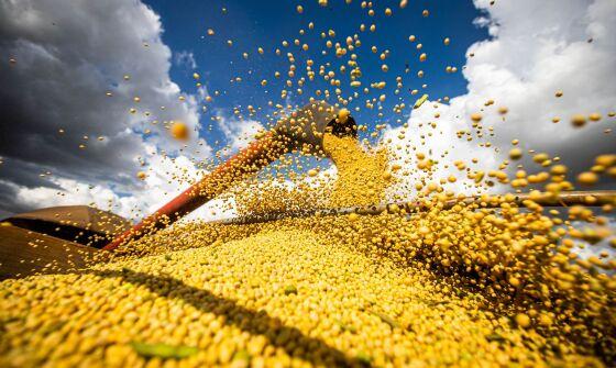 Sorriso cai para 3º no ranking nacional de produção agrícola após criação de Boa Esperança, aponta IBGE