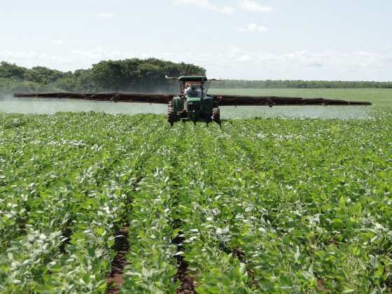 Chuvas limitam plantio da soja em MT, que atinge 10,23% e segue abaixo da safra passada